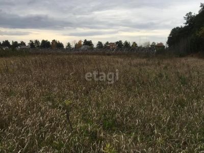 Лот: 25292636. Фото: 1. участок , деревня Ермолаево деревня... Земельные участки