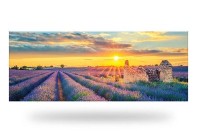 Лот: 23626484. Фото: 1. Канвас Hoff Idea. Картины, гравюры