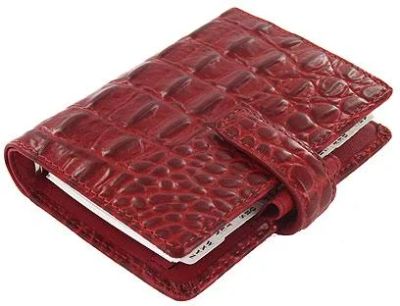 Лот: 4554651. Фото: 1. Органайзер Filofax "Amazona" Mini... Записные книжки, ежедневники, блокноты