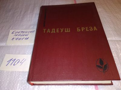 Лот: 17313078. Фото: 1. Бреза Тадеуш Стены Иерихона. Лабиринт... Художественная