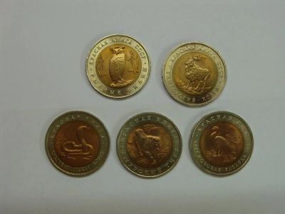 Лот: 3229366. Фото: 1. Красная книга 1991,1992 год. Россия после 1991 года