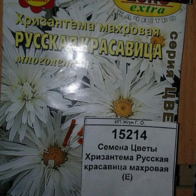 Лот: 9118500. Фото: 1. Семена / Цветы / Хризантема... Садовые цветы