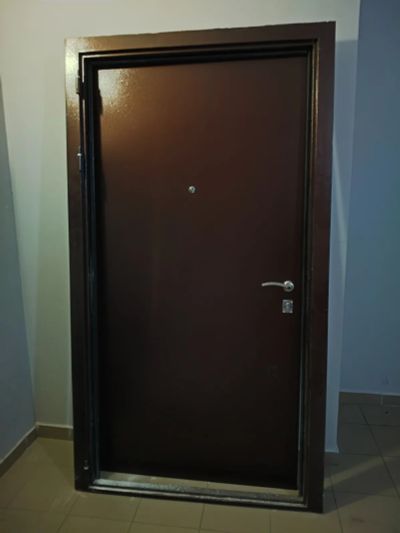 Лот: 24958281. Фото: 1. Дверь входная широкая. Двери входные