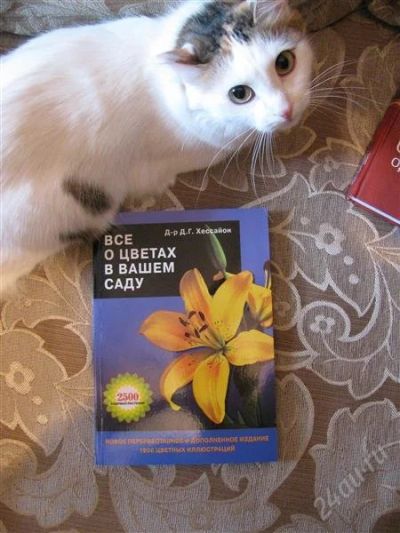 Лот: 1830873. Фото: 1. Книга "Все о цветах в вашем саду... Другое (наука и техника)