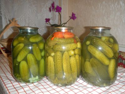 Лот: 6699767. Фото: 1. Вкусные соленые огурцы!. Домашние заготовки
