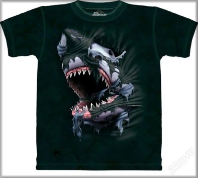 Лот: 2841869. Фото: 1. Футболка "Breakthrough Shark... Футболки, поло