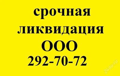 Лот: 1539363. Фото: 1. ликвидация ООО. Другие (деловые услуги)
