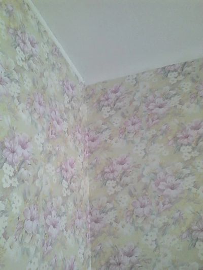 Лот: 8957239. Фото: 1. Квартира. Квартиры, студии