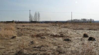Лот: 1698377. Фото: 1. Участок земли в посёлке Сибиряк. Земельные участки