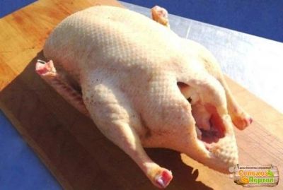 Лот: 10746711. Фото: 1. Гуси домашнии. Мясо, птица, яйцо