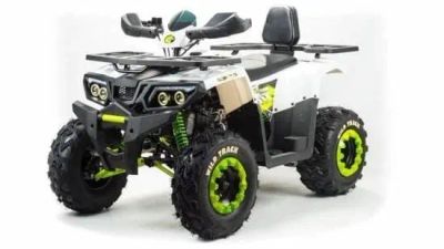 Лот: 25364874. Фото: 1. Квадроцикл MOTOLAND 200 Wild Track... Снегоходы, квадроциклы