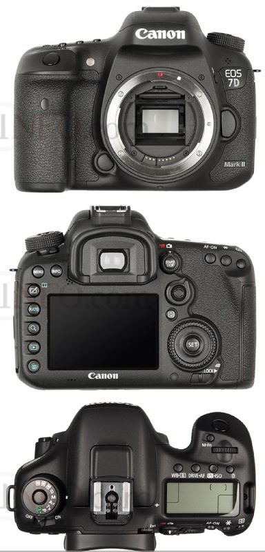 Лот: 18290325. Фото: 1. Canon 7d mk II, полный комплект... Цифровые зеркальные