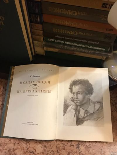 Лот: 18263393. Фото: 1. М. Басина На берегах невы. Мемуары, биографии
