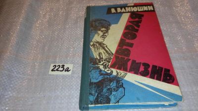 Лот: 7677705. Фото: 1. Вторая жизнь, В.Ванюшин, Тема... Художественная