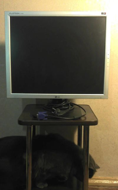 Лот: 4719093. Фото: 1. Монитор 19" LG Flatron L1918S. ЖК-мониторы