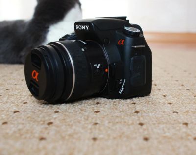 Лот: 11336073. Фото: 1. Sony Alpha DSLR-A350. Цифровые зеркальные
