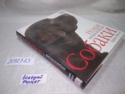 Лот: 25316265. Фото: 1. оз..вб...(2092323) Собаки. Новая... Домашние животные
