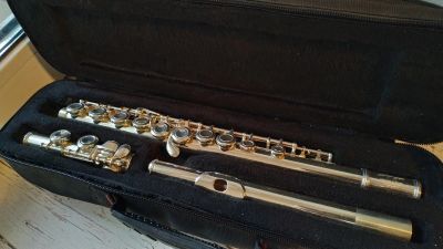 Лот: 16454531. Фото: 1. Флейта stagg 77-fe. Духовые