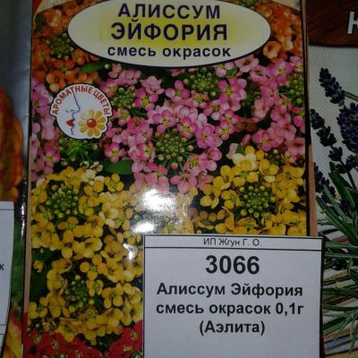 Лот: 9118679. Фото: 1. Семена / цветы / Алиссум / Эйфория... Садовые цветы