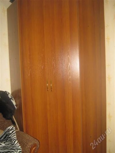 Лот: 4943459. Фото: 1. шкаф. Шкафы, шкафы-купе