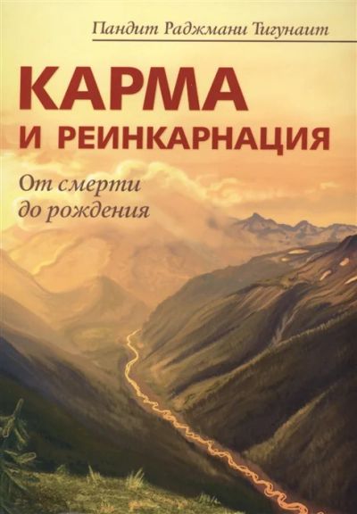 Лот: 18675901. Фото: 1. "Карма и реинкарнация. От смерти... Религия, оккультизм, эзотерика