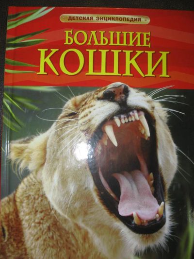 Лот: 3965041. Фото: 1. Детская энциклопедия "Большие... Энциклопедии