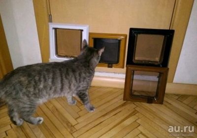 Лот: 6973961. Фото: 1. Дверца для кошек или мелких собак... Другое (животные и уход)