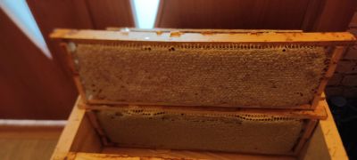 Лот: 24296193. Фото: 1. Мед в сотах. Мёд, продукты пчеловодства