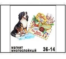 Лот: 10552046. Фото: 1. Магнит Собака спаниель с конвертом... Магниты сувенирные