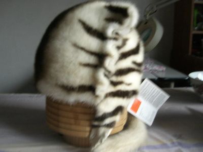 Лот: 6404651. Фото: 1. шапка норка. Головные уборы