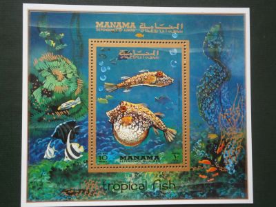 Лот: 9940995. Фото: 1. Марки, блок, Рыбы, Манама. Марки