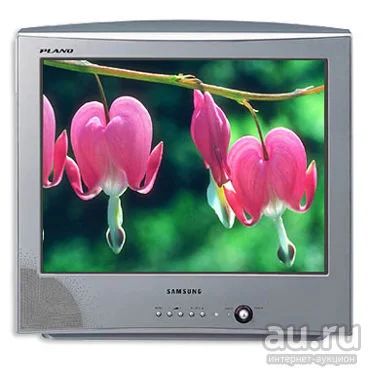 Лот: 7073318. Фото: 1. Samsung CS-21K2 MJQ. Телевизоры