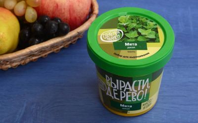 Лот: 12719884. Фото: 1. Вырасти дерево: Мята дикая. Настольные игры, карты