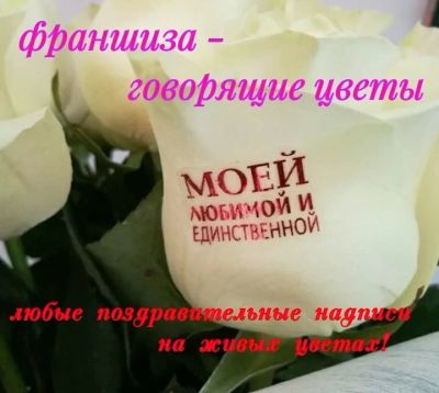 Лот: 13272103. Фото: 1. Франшиза "Говорящие цветы". Другое (бизнес)