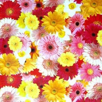 Лот: 25713789. Фото: 1. Клеенка &quot;Колорит&quot; 170... Скатерти, салфетки
