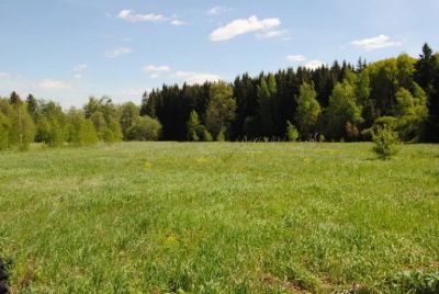 Лот: 10739205. Фото: 1. Куплю земельный участок. Земельные участки