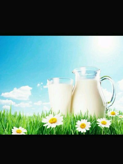 Лот: 9674812. Фото: 1. Козье молоко. Молоко и молочные продукты