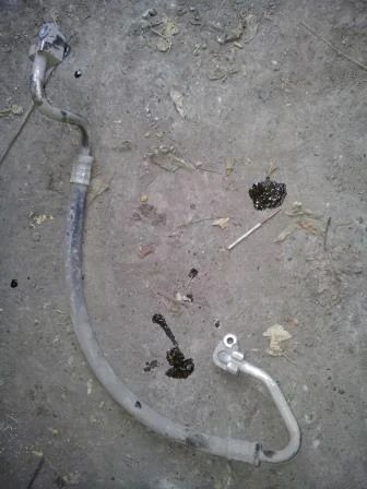 Лот: 4227623. Фото: 1. Toyota FunCargo (фунтик) трубка... Другое (автозапчасти)