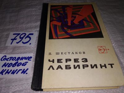 Лот: 13067474. Фото: 1. Через лабиринт, Павел Шестаков... Художественная