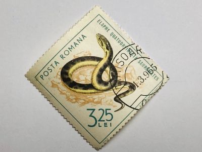 Лот: 23316436. Фото: 1. Рептилии. Змеи. Четырёхполосый... Марки