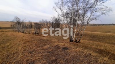 Лот: 24930464. Фото: 1. Продам участок 6 сот. Новосибирское... Земельные участки