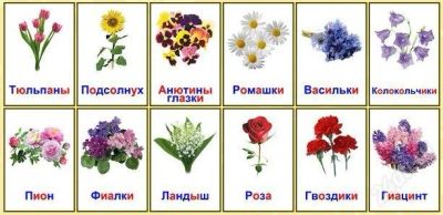Лот: 2154314. Фото: 1. Карточки Домана, ламинированные... Развивающие