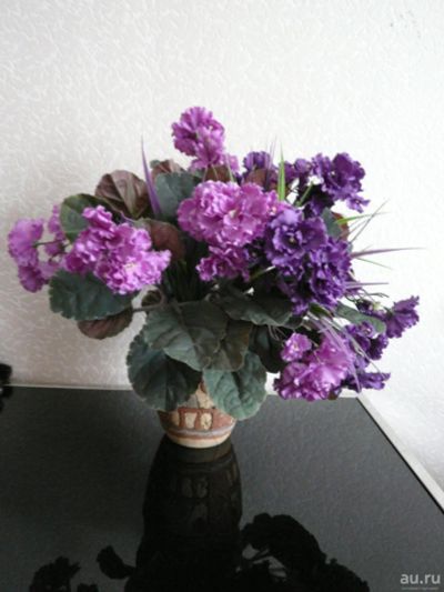 Лот: 9089816. Фото: 1. фиалки. Искусственные и сувенирные цветы