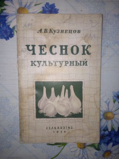 Лот: 20524422. Фото: 1. Чеснок культурный. А. В. Кузнецов... Книги