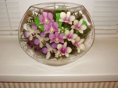 Лот: 6826817. Фото: 1. Живые цветы в вакууме (орхидеи... Свежие цветы