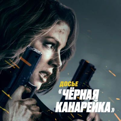 Лот: 24595632. Фото: 1. Досье «Чёрная канарейка». Видеозаписи, фильмы