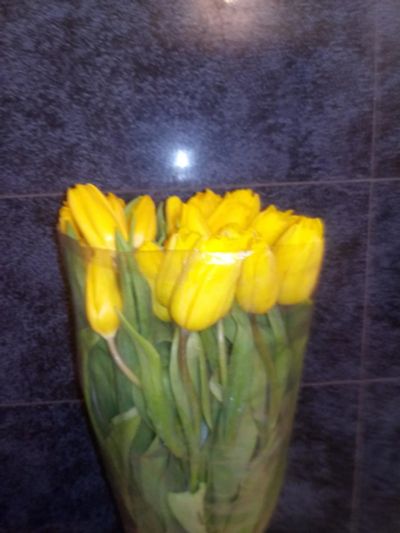 Лот: 11158594. Фото: 1. 31 тюльпан, желтые, отличного... Свежие цветы