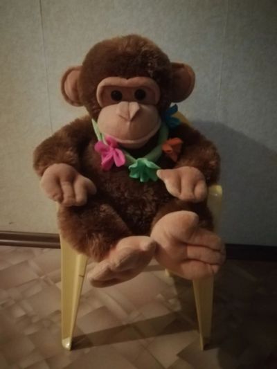 Лот: 16383228. Фото: 1. игрушка. Мягкие