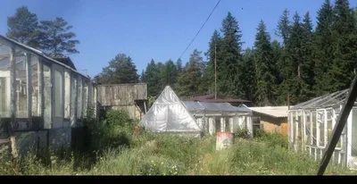 Лот: 15919369. Фото: 1. Рамы окна стёкла от теплицы отдам... Окна, балконы