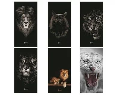 Лот: 21776859. Фото: 1. Чехол Honor 8A/8A Pro/Y6s/Y6/Y6... Чехлы, бамперы